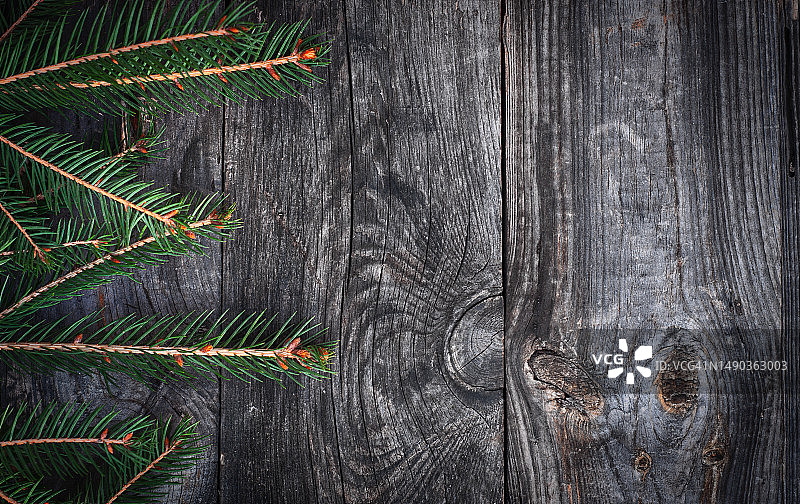 带有裂缝和结疤的灰色木板上的云杉枝，罗马尼亚图片素材