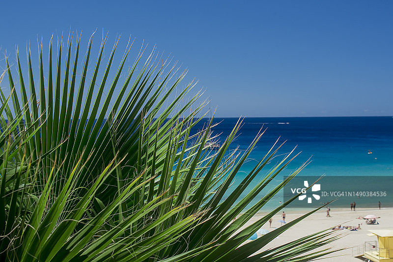 西班牙富埃特文图拉岛马托拉尔海滩图片素材