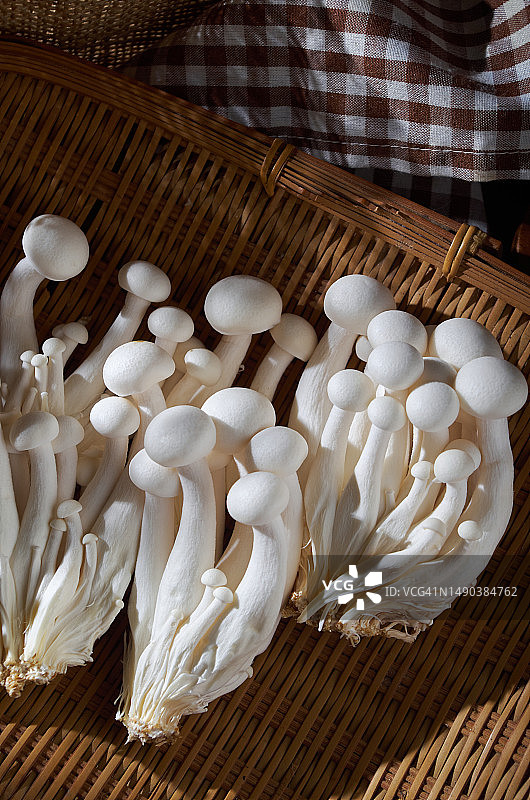 待烹饪的白色真姬菇图片素材