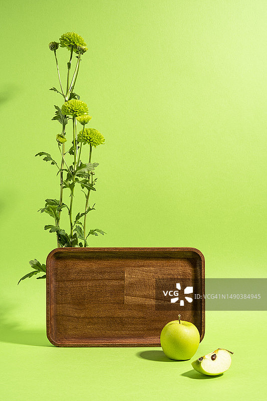伊朗的绿叶和植物在绿色背景下特写图片素材