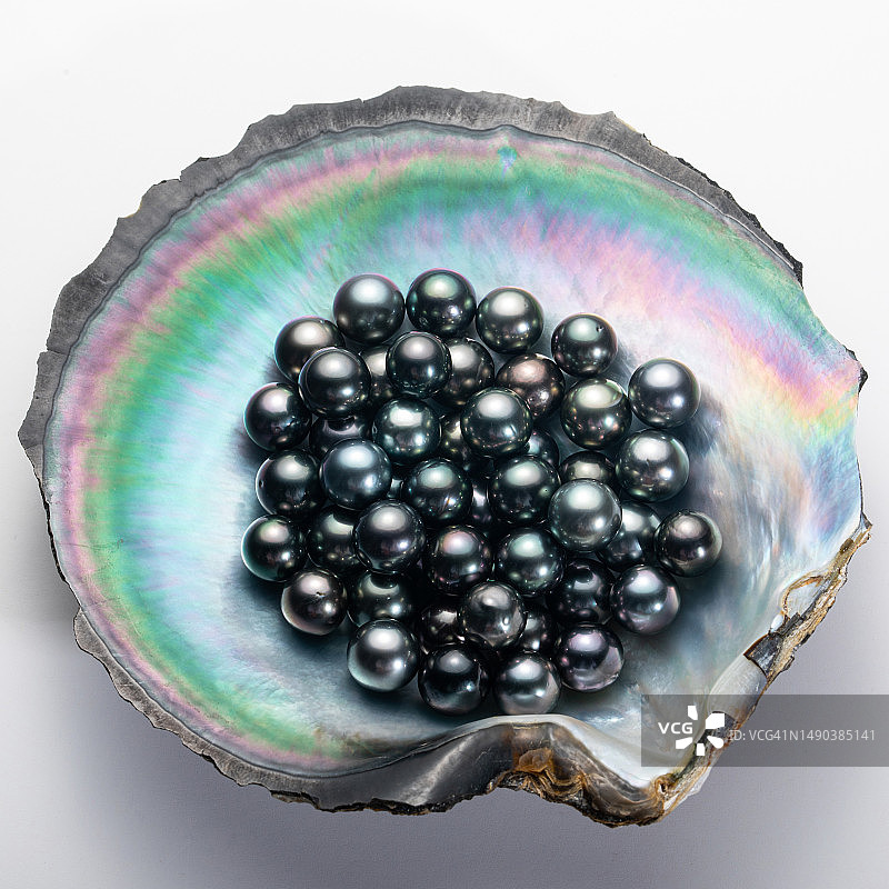 贝壳中的珍珠特写，白色背景图片素材