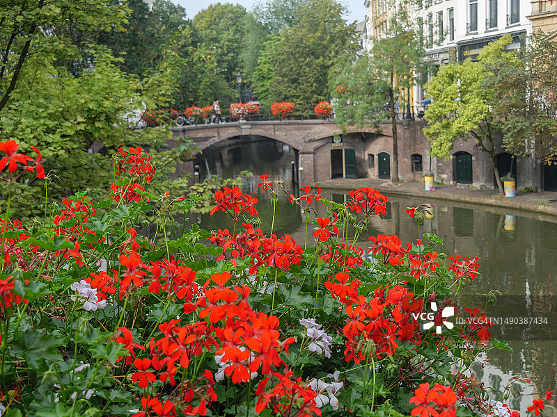 荷兰乌特勒支公园的鲜花植物景观图片素材