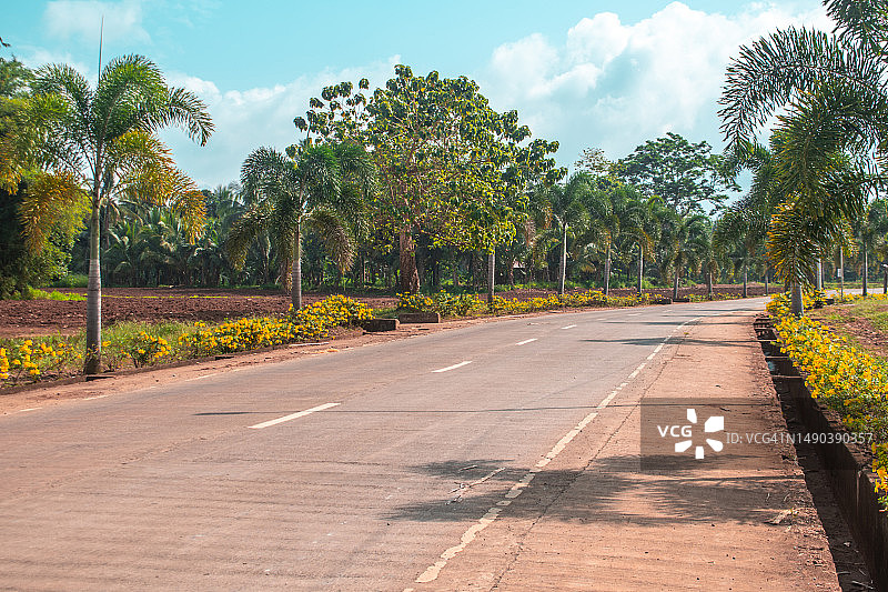 菲律宾公园内树木间的空旷道路图片素材