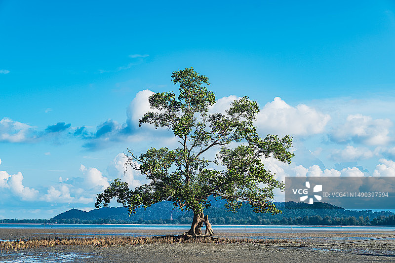 马来西亚半岛3888公里图片素材
