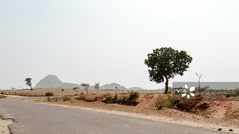 印度恰尔肯德邦乔塔纳格浦尔高原的干燥丘陵半干旱地区图片素材