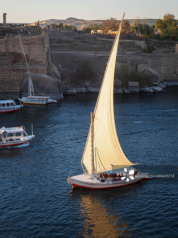 埃及阿斯旺尼罗河上的三角帆船图片素材