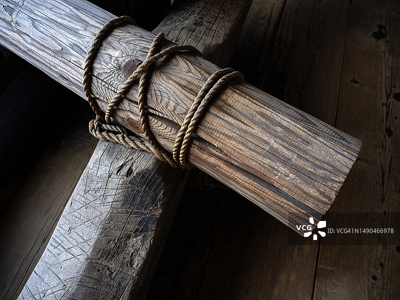 缠绕在树上的绳索图片素材