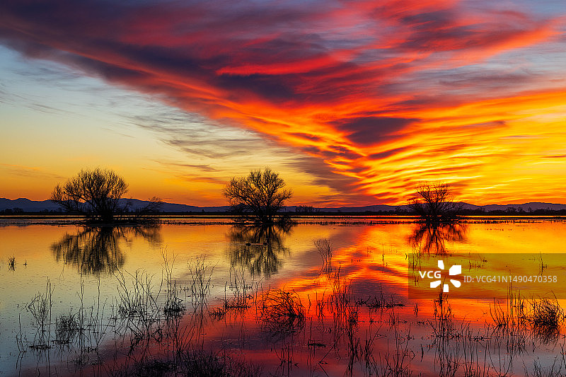 默塞德国家野生动物保护区绚丽的日落图片素材