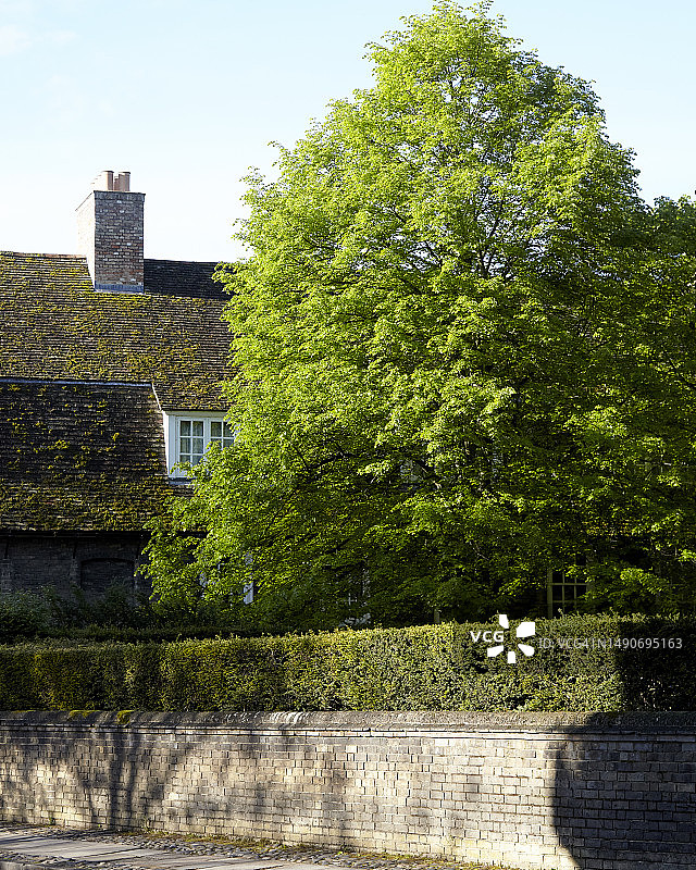 剑桥及周边地区春景图片素材