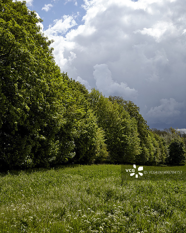 剑桥及周边地区春景图片素材