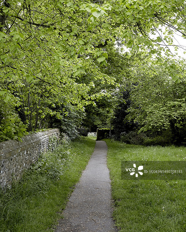 剑桥及其周边地区的春天景色图片素材