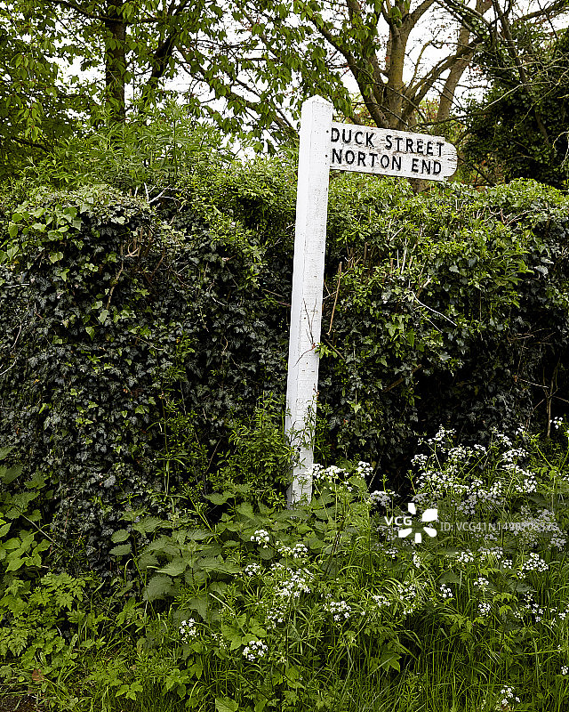 剑桥及其周边地区的春天景色图片素材
