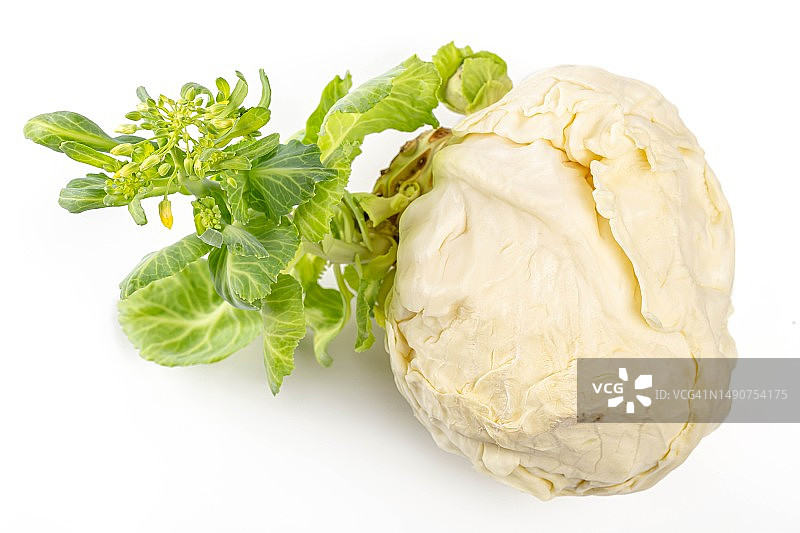 白背景上的卷心菜特写，罗马尼亚图片素材