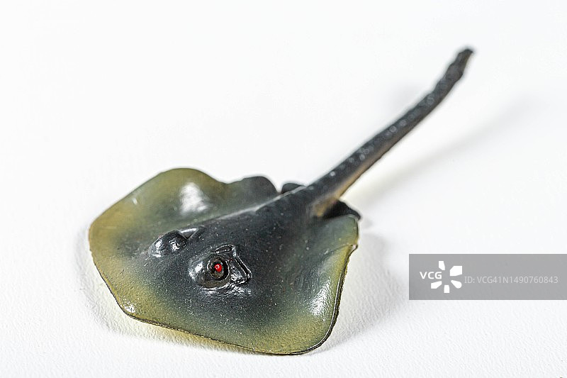 白色背景上的玩具黄貂鱼，罗马尼亚图片素材