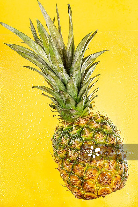 带水珠的黄色背景新鲜菠萝图片素材