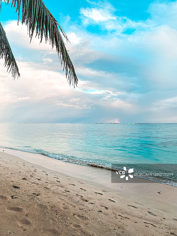 拉罗汤加岛热带海滩风光图片素材