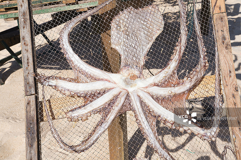 葡萄牙纳扎雷晾晒的章鱼图片素材