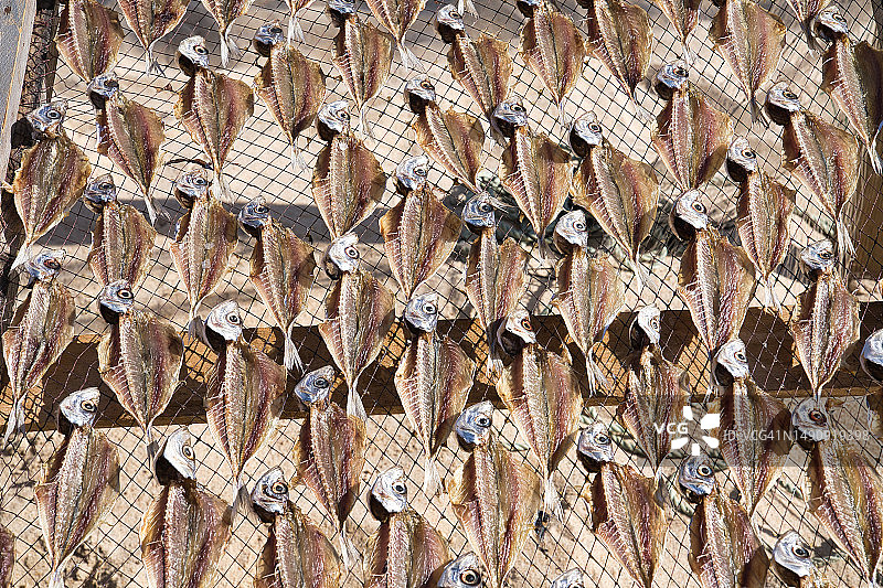 在葡萄牙纳扎雷用于干燥的鱼图片素材