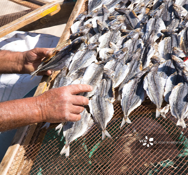 在葡萄牙纳扎雷用于干燥的鱼图片素材