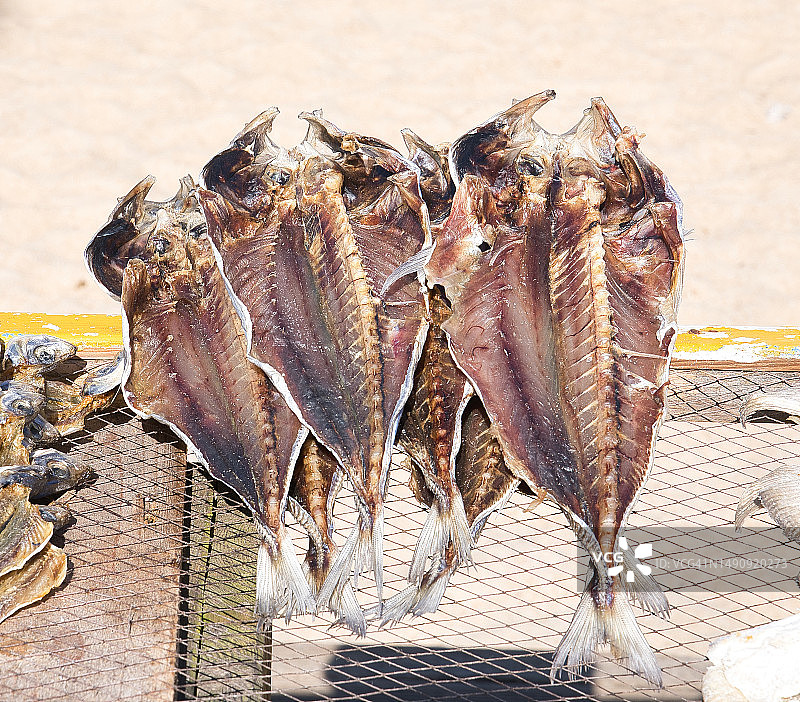 在葡萄牙纳扎雷用于干燥的鱼图片素材