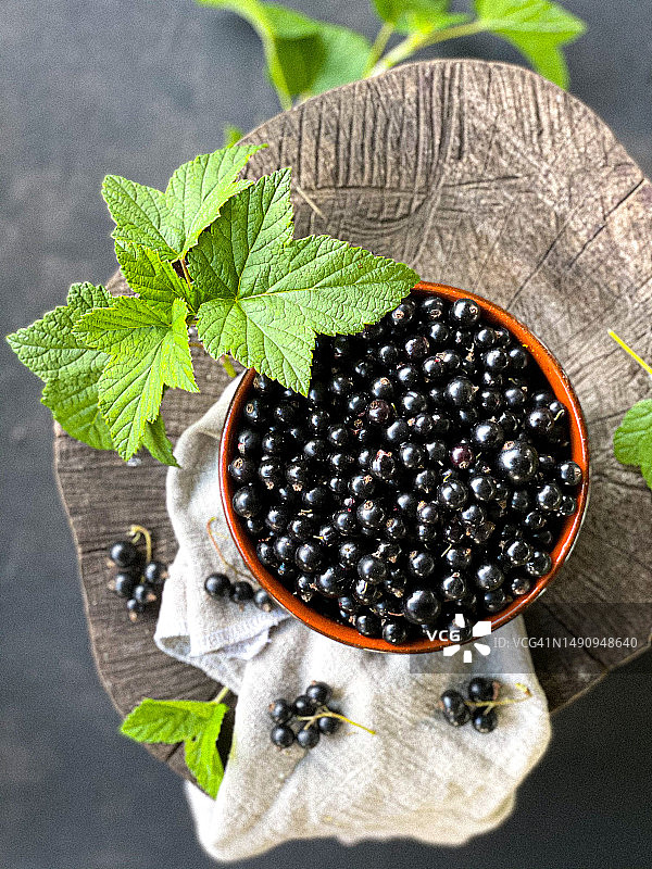 黑醋栗浆果背景图片素材