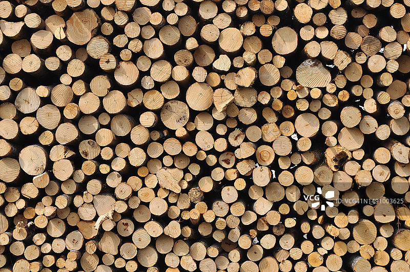 罗马尼亚原木全画幅图片素材