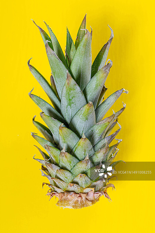 黄色背景上的菠萝特写，罗马尼亚图片素材