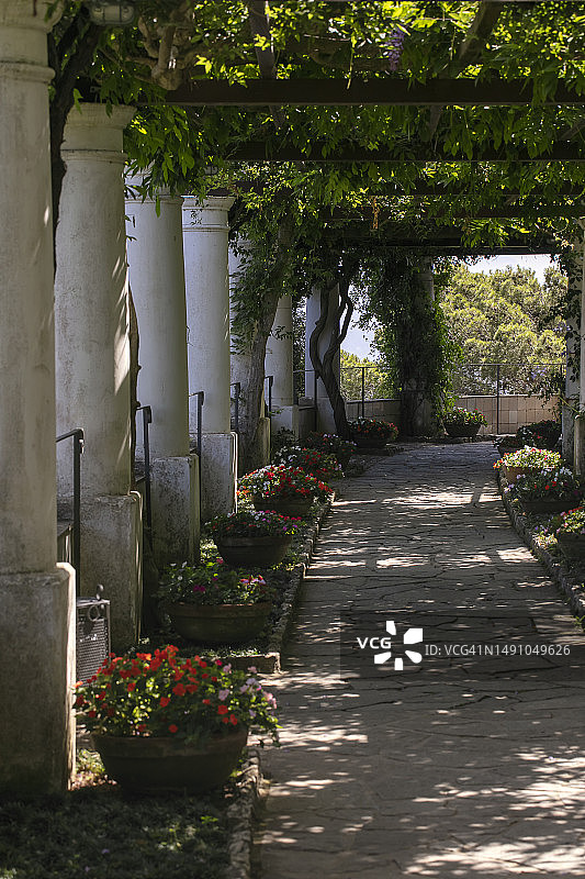 阿纳卡普里村和圣米歇尔别墅:瑞典医生和作家Axel Munthe在卡普里的毕生之作,四周环绕着令人印象深刻的花园图片素材