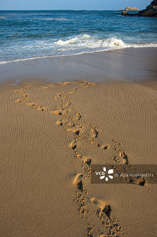 沙滩上通往水边的足迹图片素材