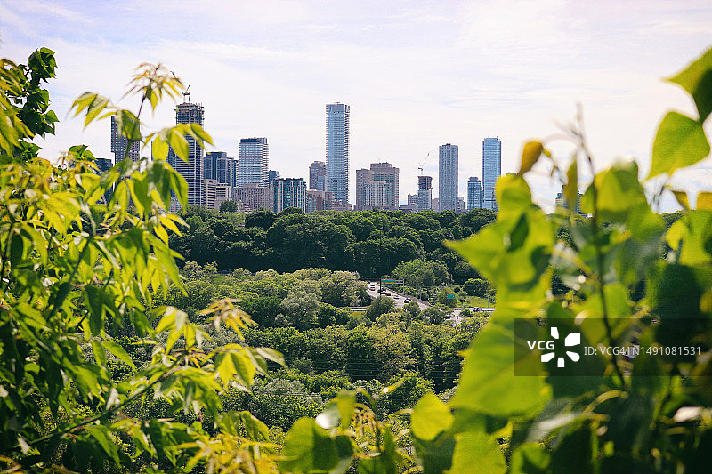 多伦多社区的绿色空间图片素材