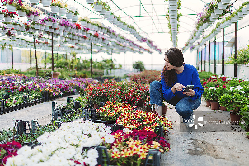 花店里的花艺师正在照料植物图片素材
