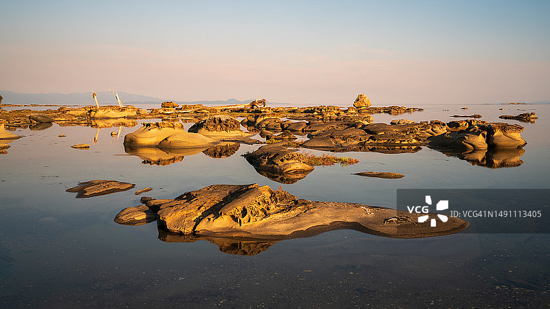 霍恩比岛苍鹭岩图片素材