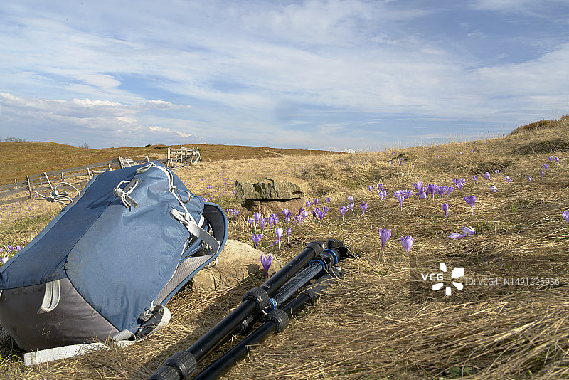 照片：背包和三脚架图片素材
