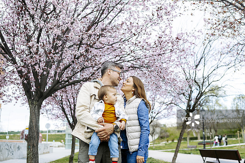 父子在樱花树下图片素材