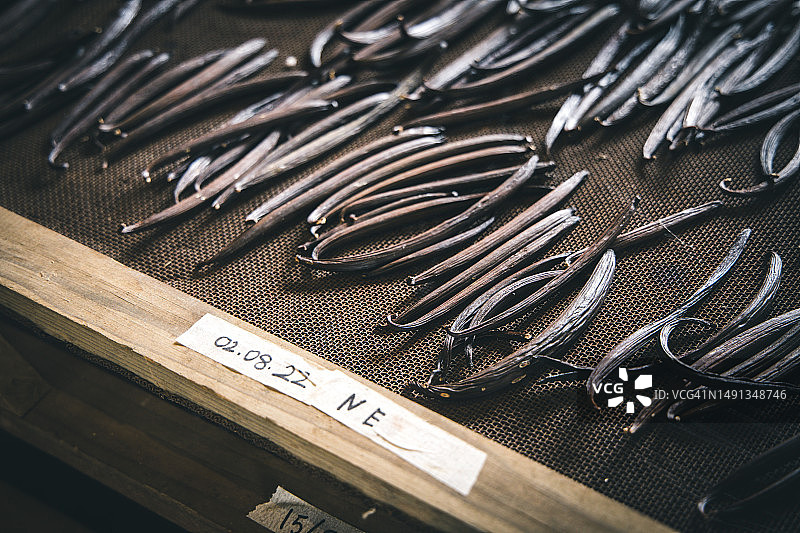 毛里求斯的香草图片素材