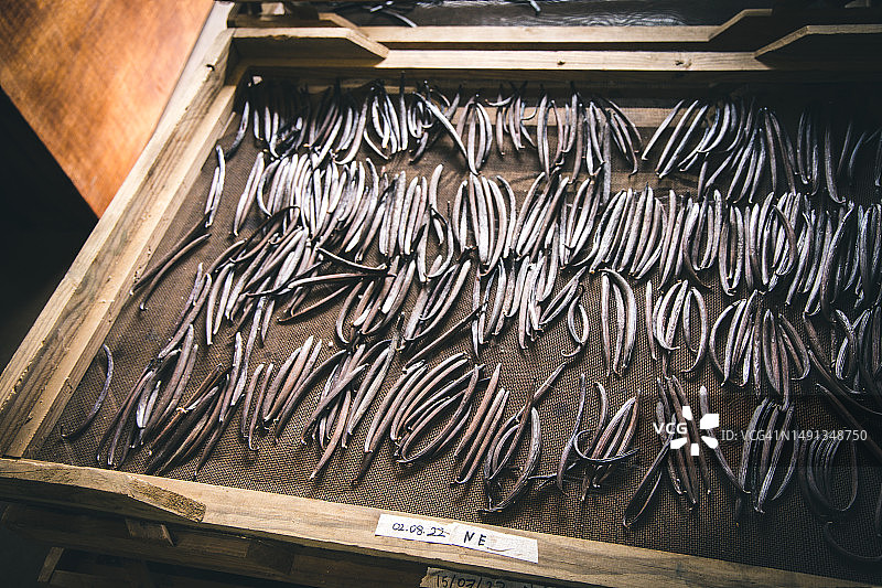 毛里求斯的香草图片素材