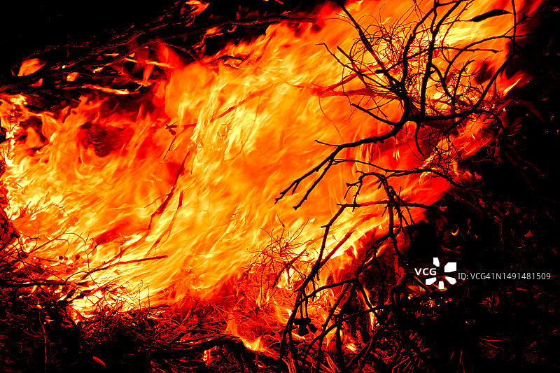燃烧灌木丛的大火焰图片素材