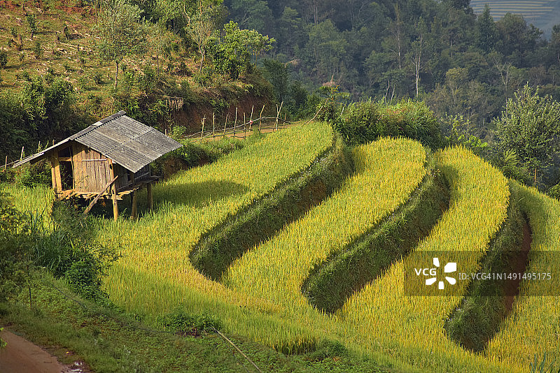 中国越南安沛省木江界的壮丽梯田图片素材