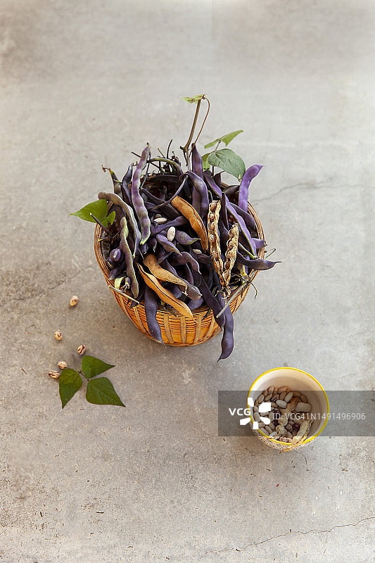 紫色跑豆图片素材