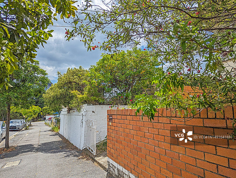 城市内部人行道树街道郊区图片素材