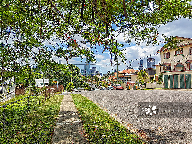 人行道上的树，阳光明媚的道路郊区图片素材