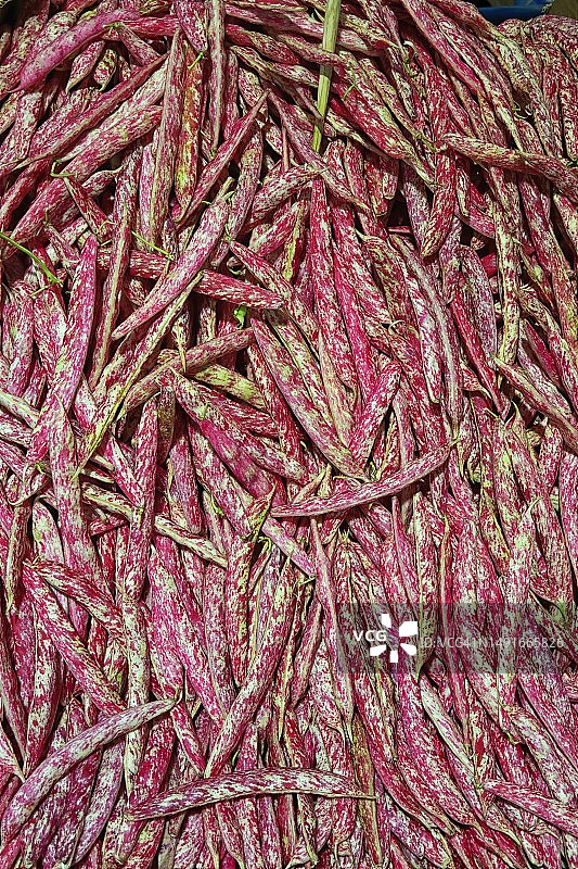 市场上盆栽白花菜豆特写图片素材