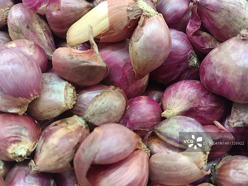 红葱的艺术肖像图片素材