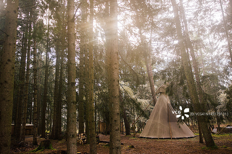 森林中的印第安圆锥帐篷图片素材