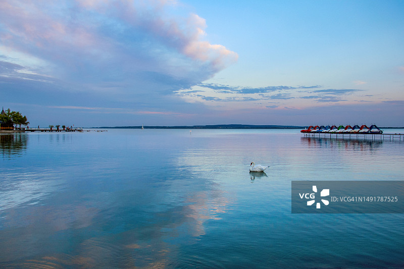 凯斯特海伊海滩天鹅日落图片素材