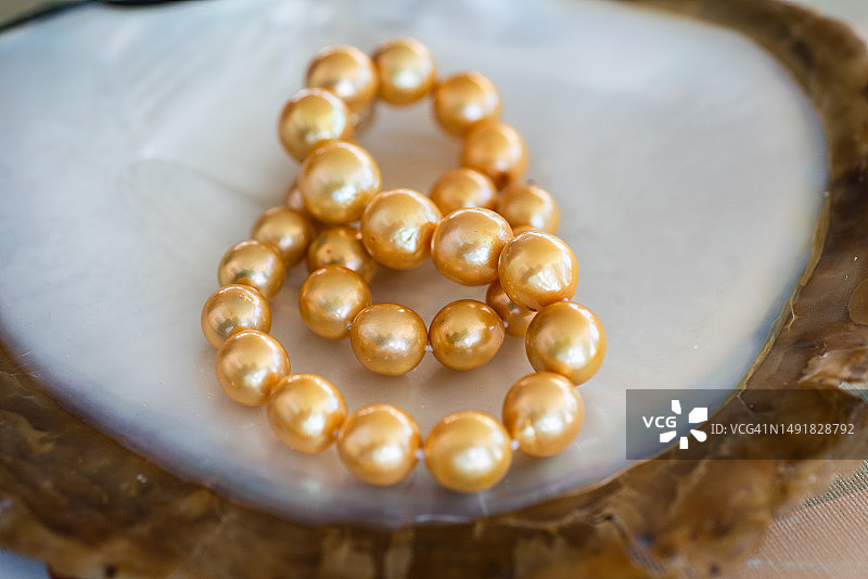 菲律宾苏禄群岛的养殖珍珠图片素材