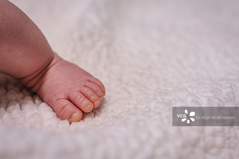 女婴的脚部特写图片素材