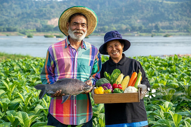 农民拿着一条大鱼和蔬菜图片素材