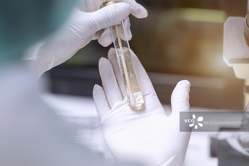 微生物学家在微生物实验室做实验图片素材