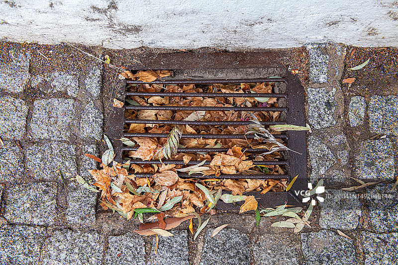 被树叶堵塞的排水口图片素材